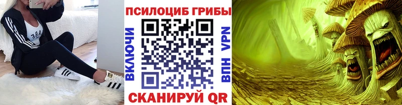 Псилоцибиновые грибы мицелий Балашов