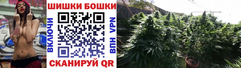 Каннабис конопля  мега ССЫЛКА  Балашов  наркошоп 